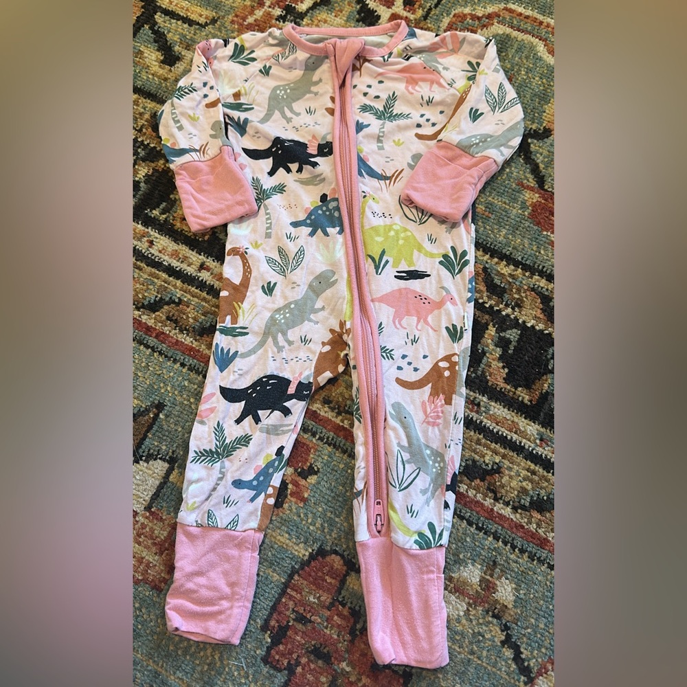 Little Sleepies Dinosaur Pajama Set - Pink and Multicolor